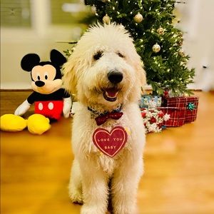 Meet your Posher, Eva